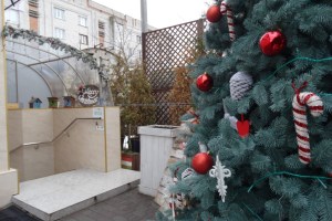 Кафе Villa Chipollina, Фастов